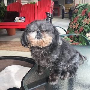 Meet your Posher, Bill